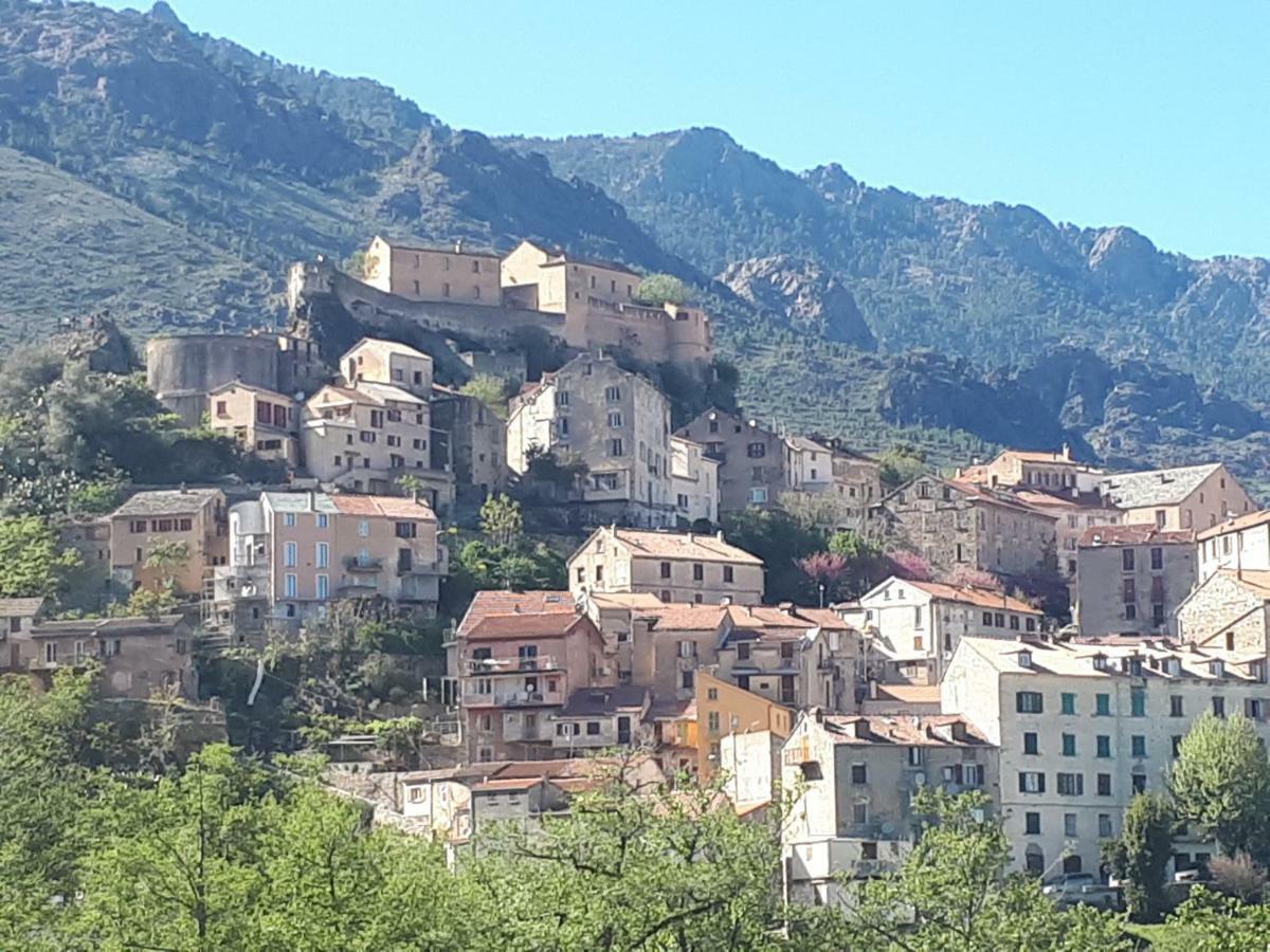 Charmant Studio Dans Residence Neuve Et Calme Corte  Exteriér fotografie
